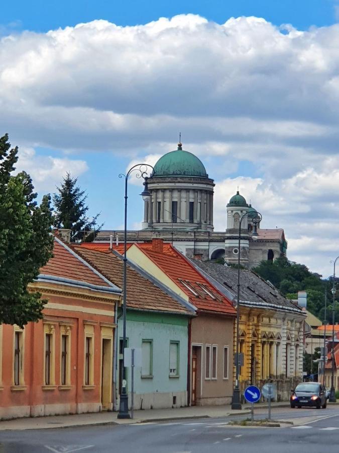 Gardenia * Esztergom