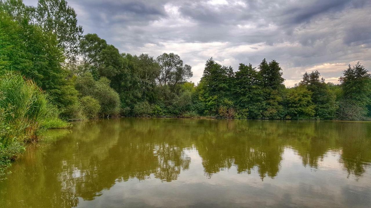 Gardenia Apartment Esztergom